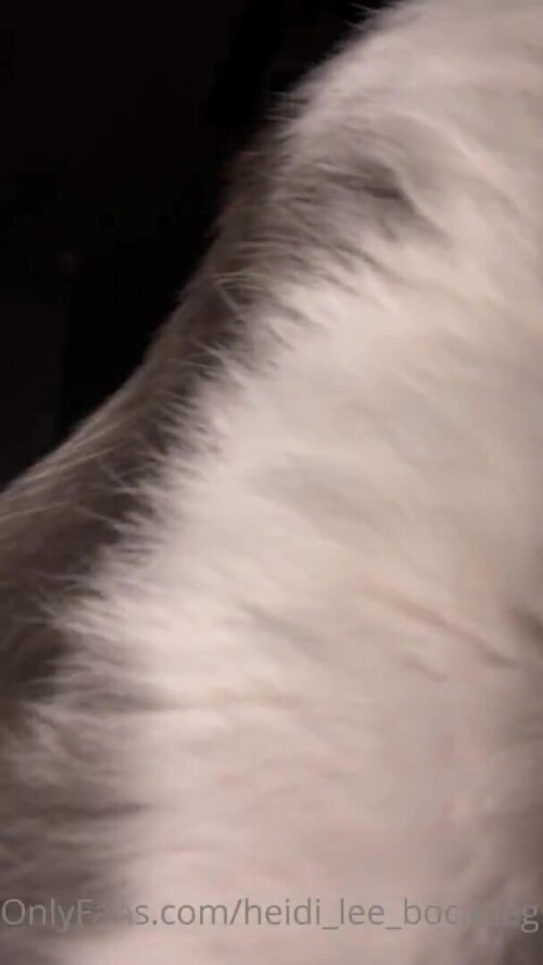 40b7466c069869d08e2ed4ae02629675