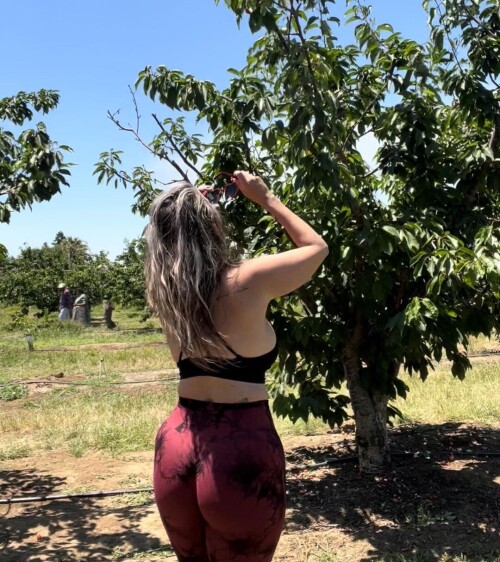 90e514a71a9912d1cb423cc6ea47aec0