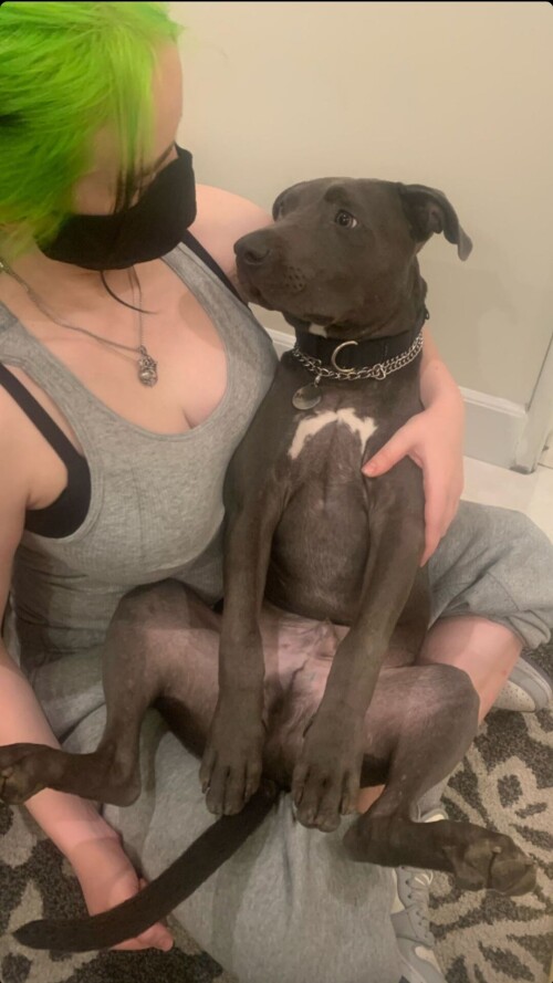 76b437715e269b4ed7c227edf2736eeb