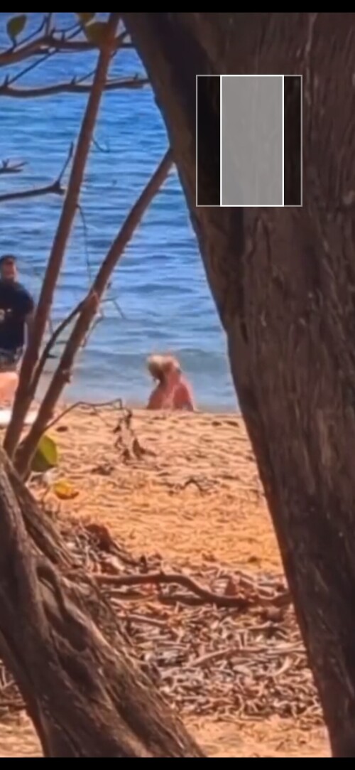 bb24f79bf0078ae7b4e68c744ca73d57