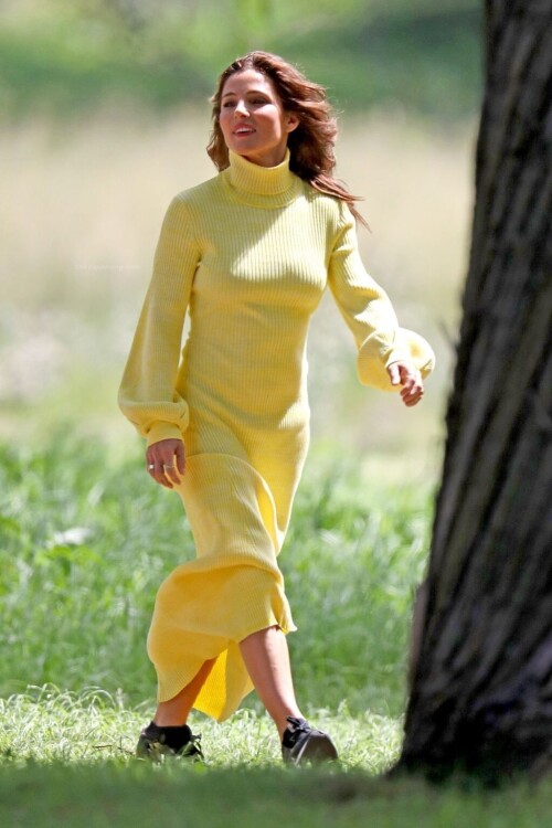 e68add7ae097cabda46539afb81e54a2