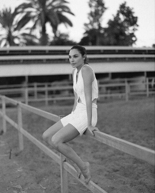 ca1f66f3e8d44c90cdeedc7cba76d1b2