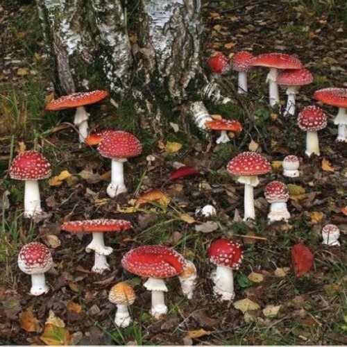 e3c48cb94aaef74950ab18f23dccf094