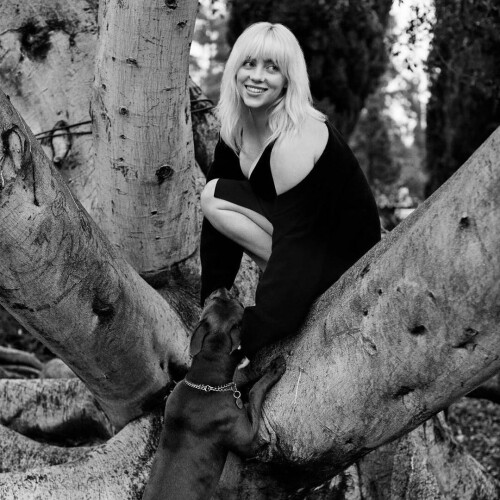 79a785ab4110515377bca35c1f8d79c0