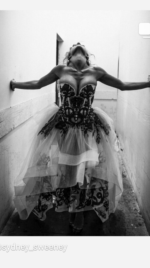 2dab523972d49faa8a2a97b81eed109f