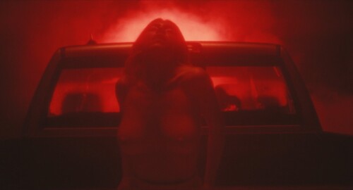 6e0e66b66a7dede39ef97a6214a203fb