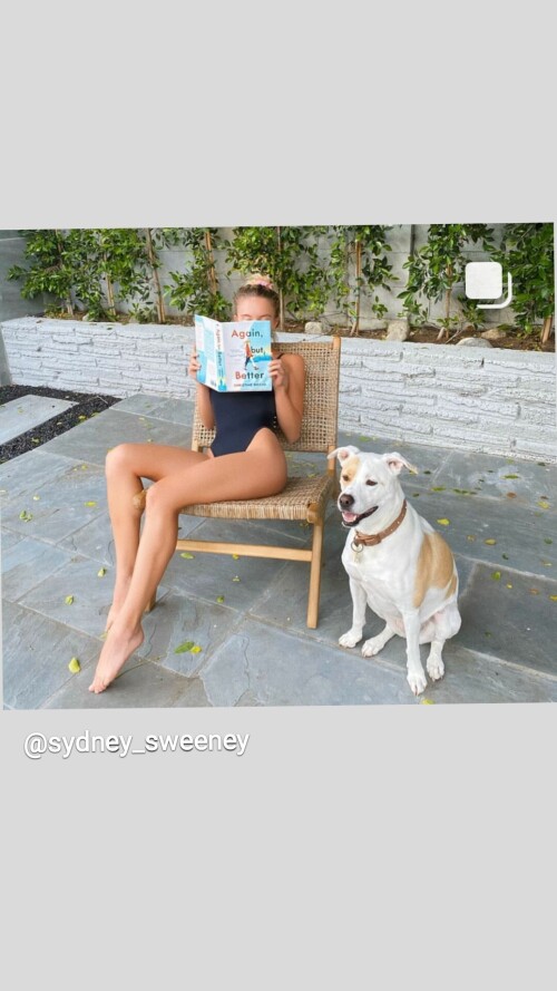 8db51cfe8fe9e73856b689b76d4dd184