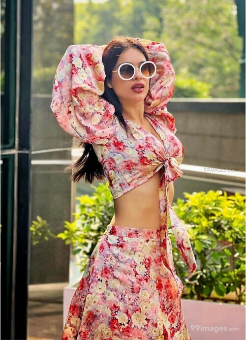 1151b558b1f6254939936c03bc0ce2b2