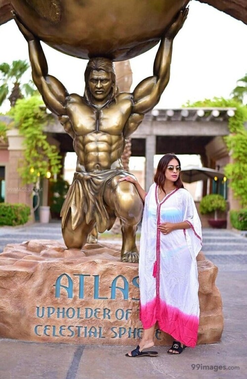 11f5095157d2d93b71fea34600bcc636