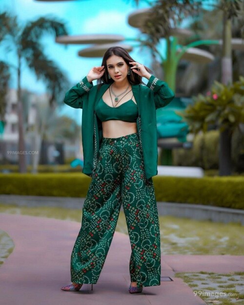 12c90cd56c64e31b1af9f95aa3bbc384