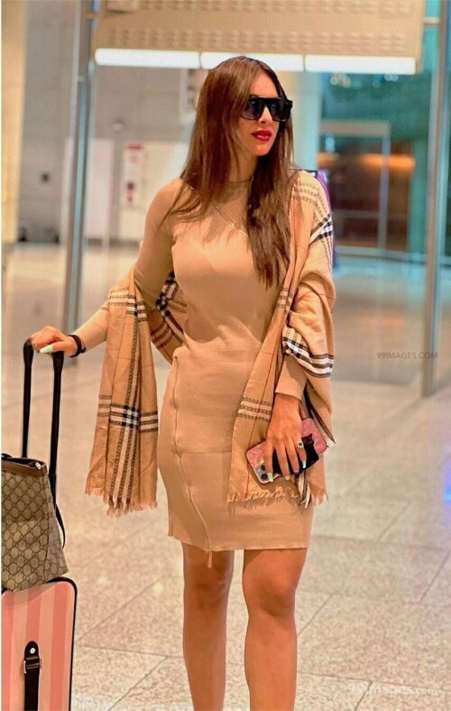 1303a1258f6fb69b62557e235ad83bc2