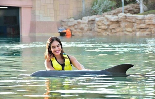 17996162e3d2f45bcb8a11a256c62f3c