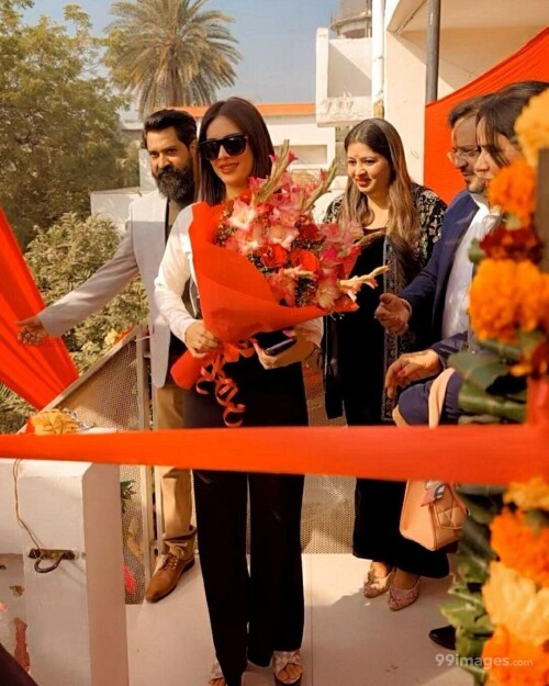 1ac30a7fedc879bfe7daed2d50d81876