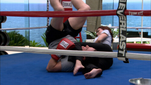 1d866d9711714d56cbd2193d9f2b4b5d