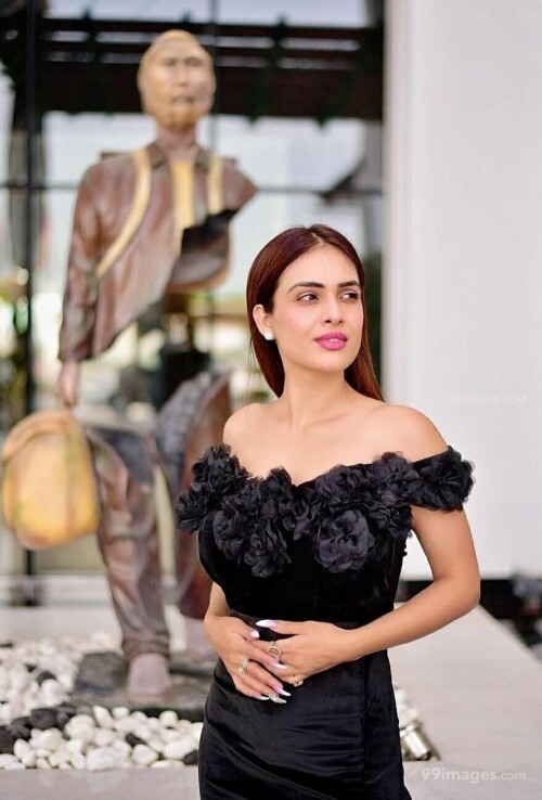 2d11dc8fbbd45ed8e33d0ec277611d0b