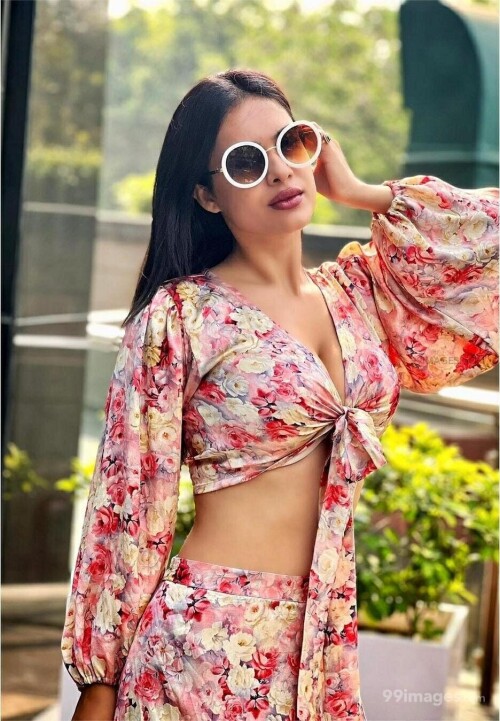 435d6482576e703ebf60fbda8a71a5db