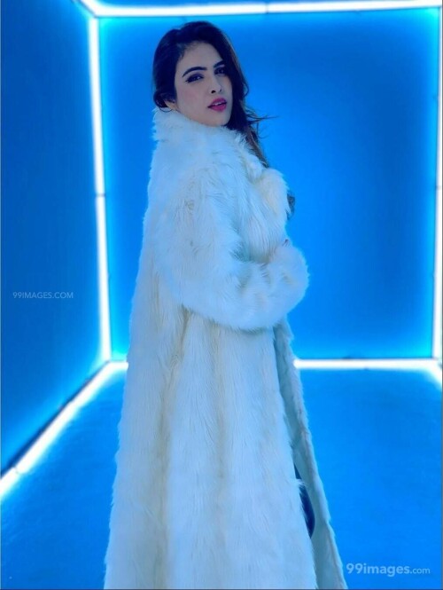 5011f8a0ba436b533f1d55fcb6bf0779