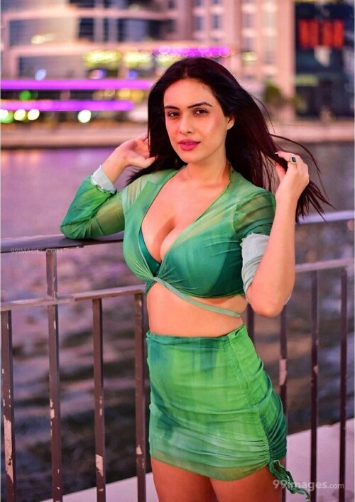 57e4587d232e727e22ba4301897379f6