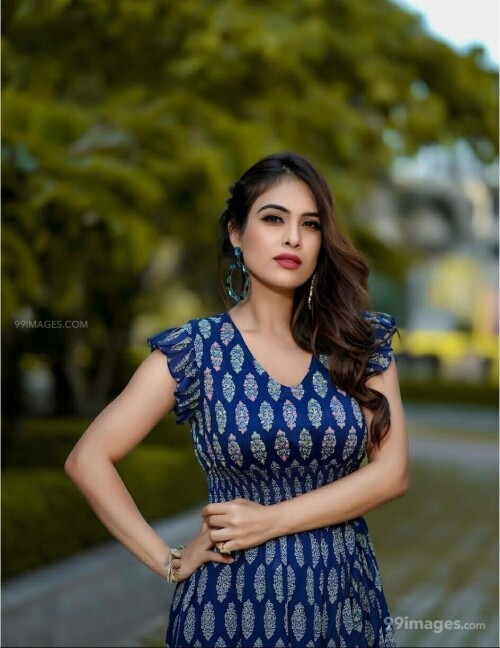 705ef4411d598239dce33ef273aa3917