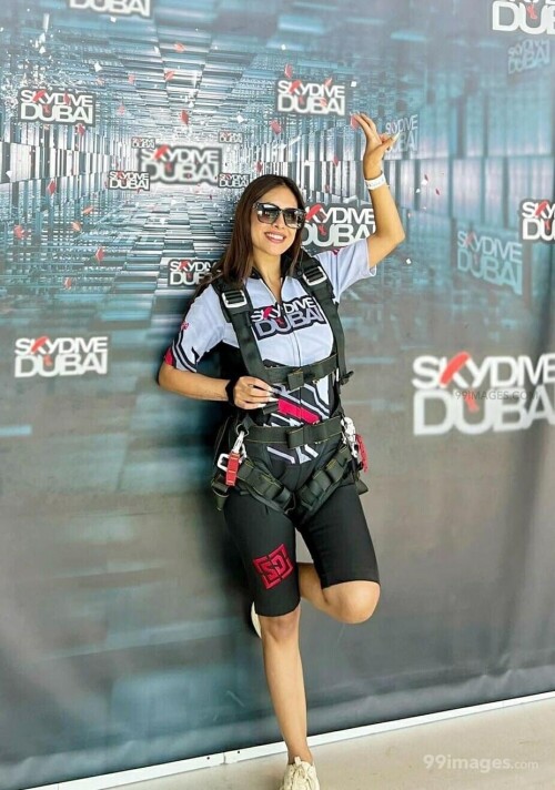 729c0f669d81829b21c4aee1aa34d41a