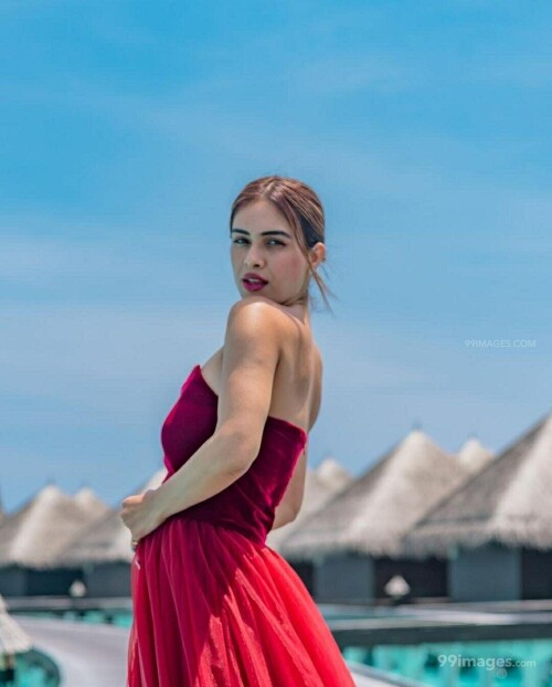 83d77fe8a59ebaae8cbfa40a1411621a