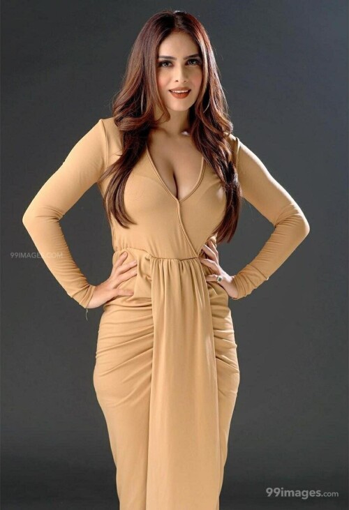 84497d0d177a5505ff4afda451a12915