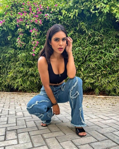 857819ef3d0696d7c8e81cb7c6d21a7e