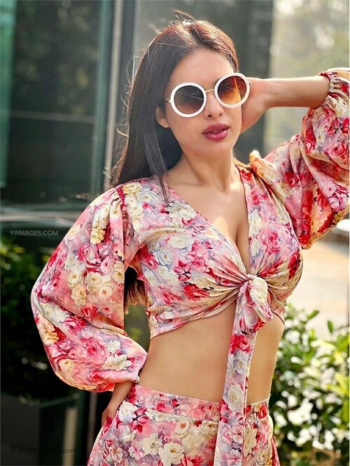 9089385b3304d32b1afa8bbd3057d8c5