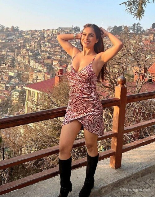 9ee7752674155480c4a4c70a5b4f03d1