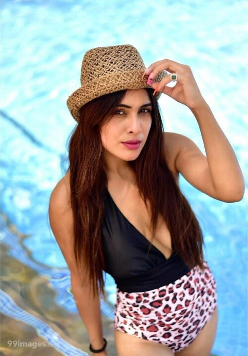 a3e2e77e914715ec1ad9f73a19c3af70