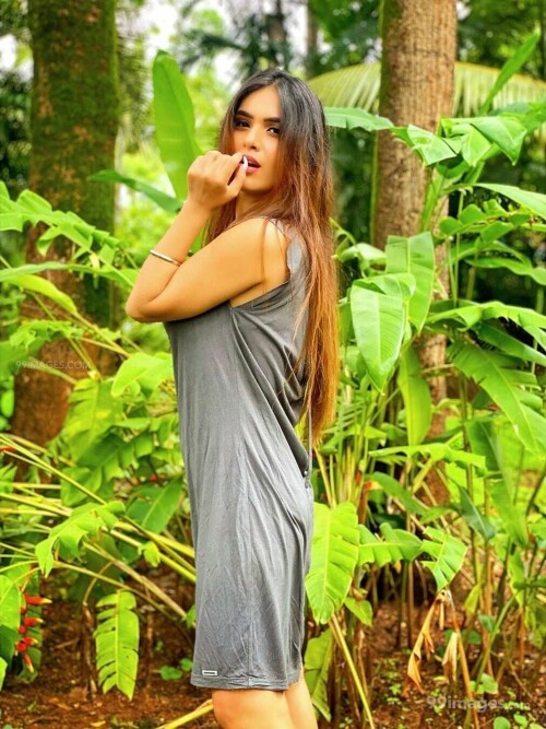 a5c6d5d662a8cff4505b3f3506c11368