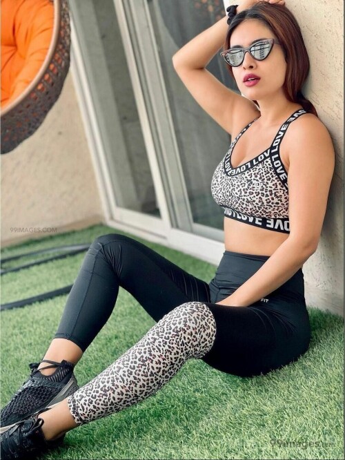 d241b3cbd3cd52e97fed4b5452d63ed5