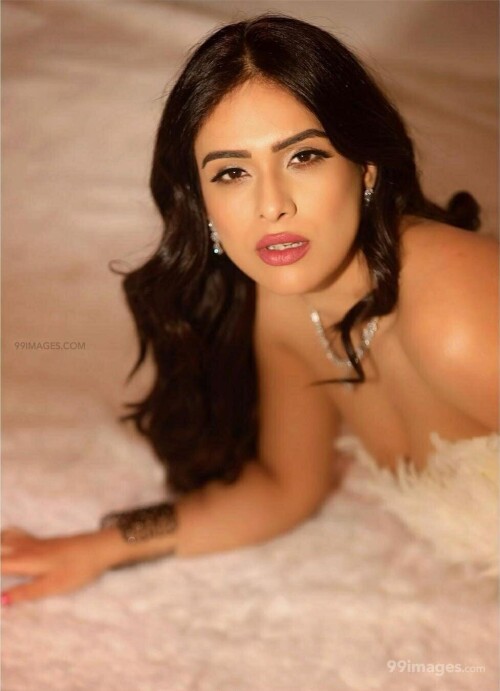 dd3cd765c5a6892ef5f8a9ca18eccbaf