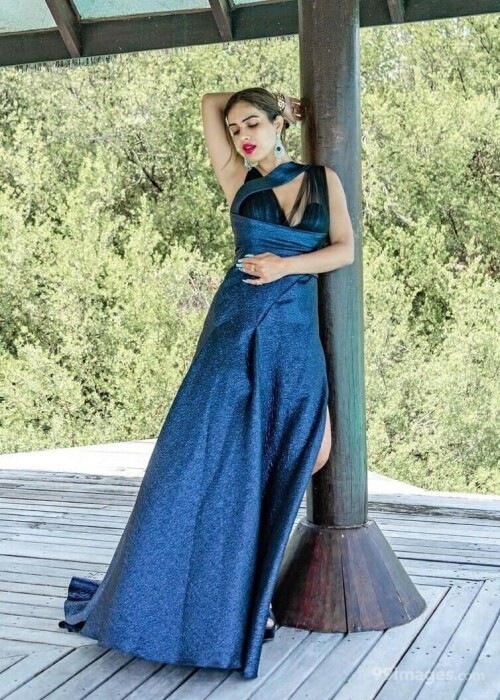 f4c3e01130211676ab2b0f4a8631206b