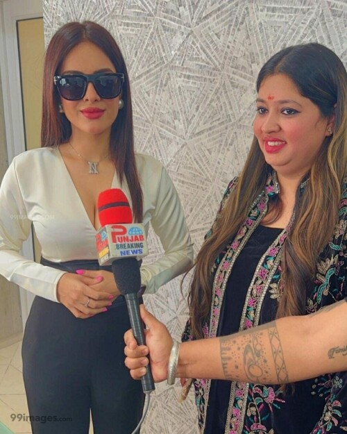 f8815ee5371059ff3b4a13f125d599c3