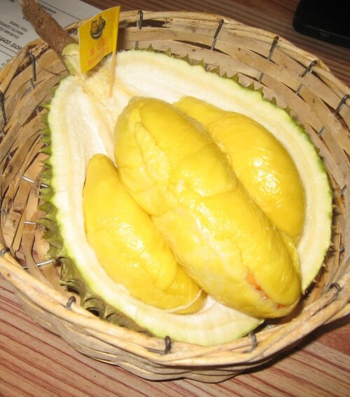 1d6bc5e3b20cfa64c3c78d4b206f74ee