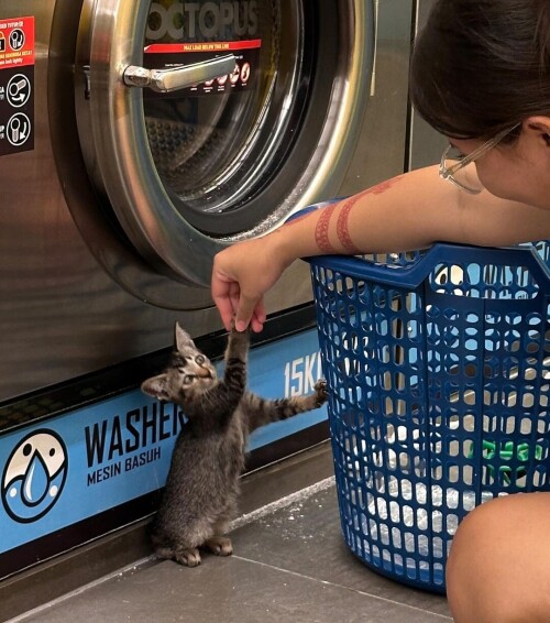 37e1da995056f380c62a02b832910d61