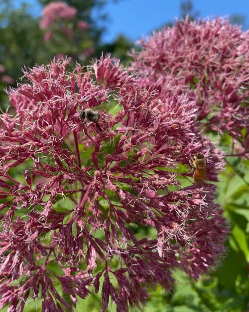 568634e6c965d29a4bf273fdf80a0235