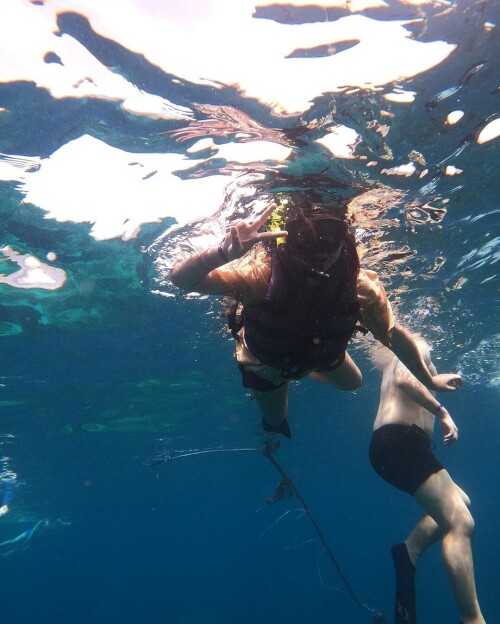 5a522980f9c39edc49a3075a4d3c8139