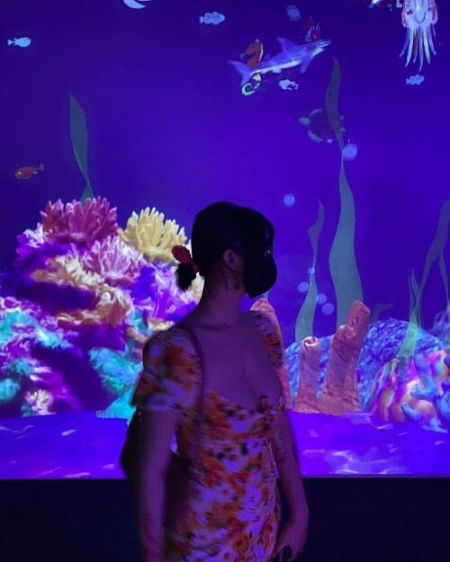 736aa29d558fab180a88cee87b33591c