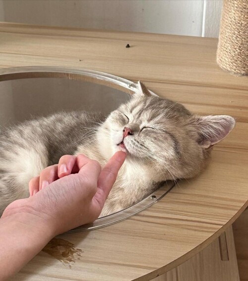 dc922630108ade04c61095872d52d5c0