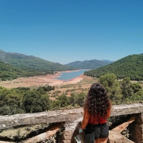 e5c54bc4ecf7cb26977fa1ef869f27cb