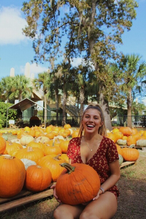 d26b8101a73d5171375c157ca4ef22bc