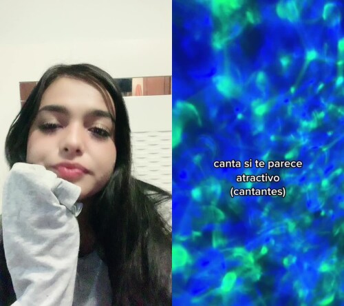 032fa506d328309e735a5405ede4e1a1