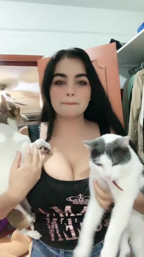 130e2503054dcb02e53359d97cd7d2d7