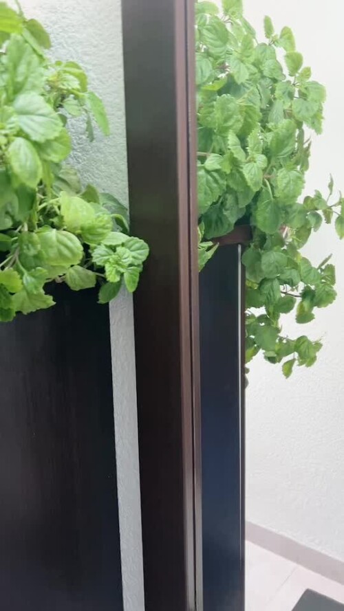 46e95b309c40f207db0546fa0c210a05