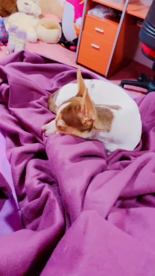 6acac2dc337bdf63e012aa4d67eaf717