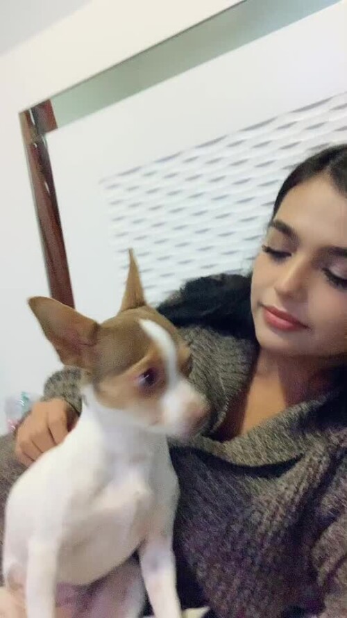 8be90903cc967bf6744ec7dd5c694de1