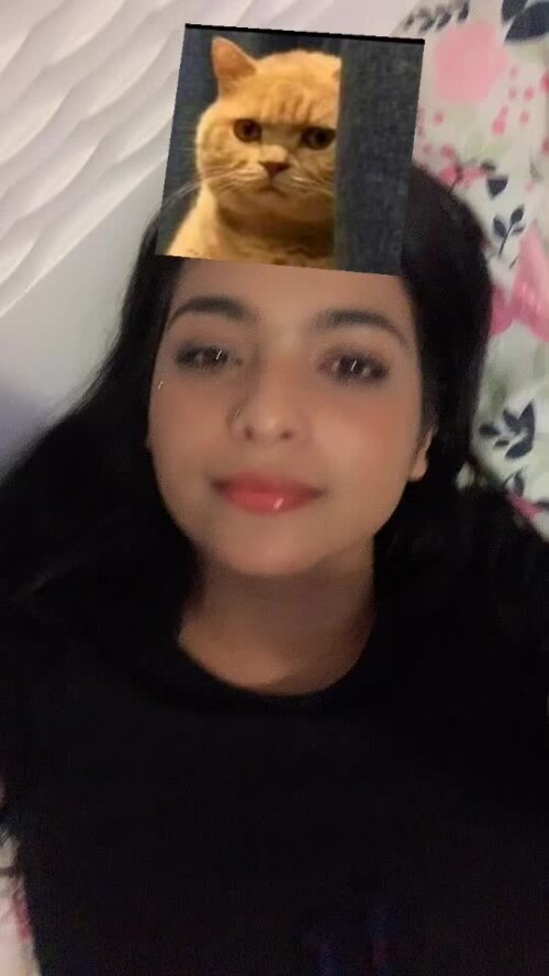 9ff6f5edf75a09ab2f78759e18c9d123