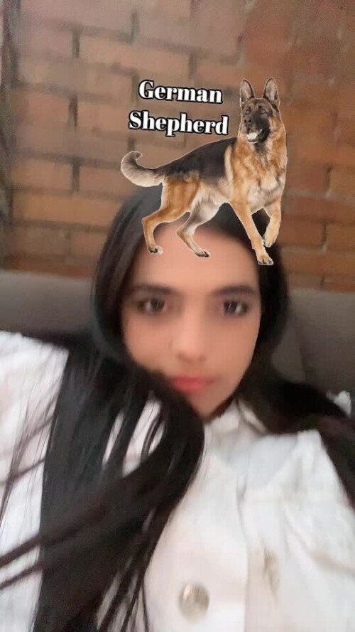 a7a6469266541fae52c8663882260eb7